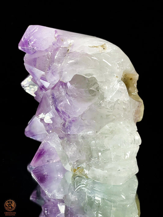 Crâne de Cristal en Améthyste – Oracle d'éveil | obsidian dragons