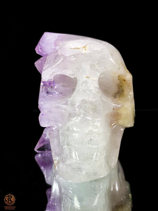 Crâne de Cristal en Améthyste – Oracle d'éveil | obsidian dragons