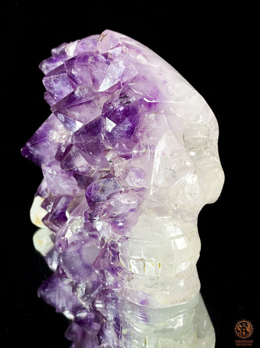 Crâne de Cristal en Améthyste – Vision Céleste | obsidian dragons