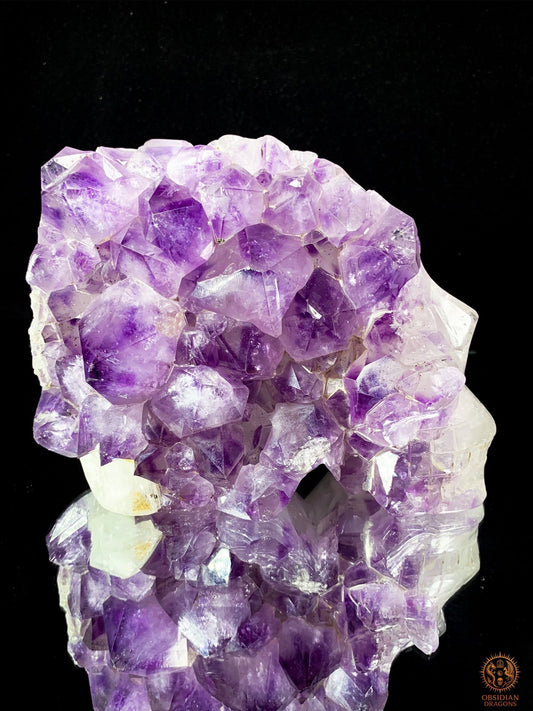 Crâne de Cristal en Améthyste – Vision Céleste | obsidian dragons