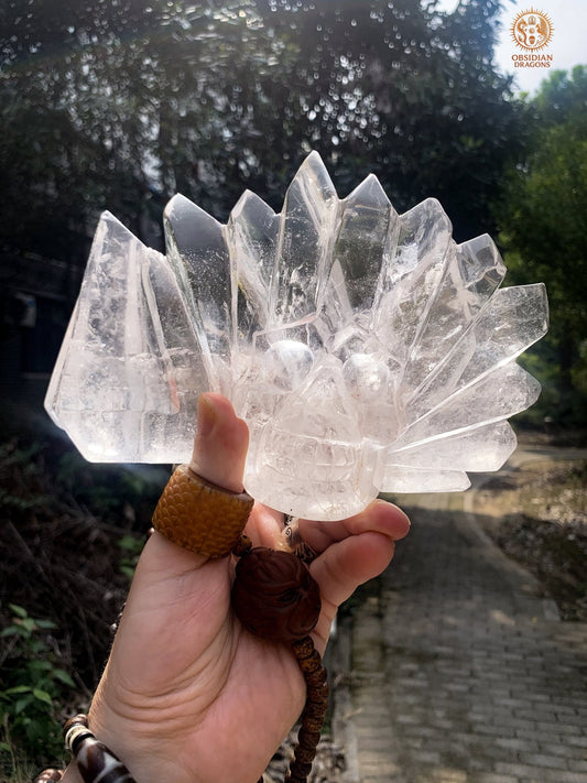 Crâne de Cristal en Cristal de Roche – Couronne de lumière | obsidian dragons