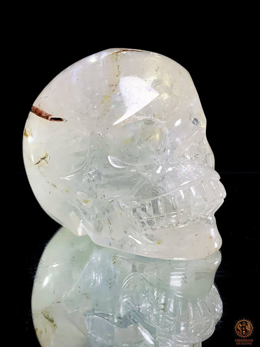 Crâne de Cristal en Cristal de Roche à inclusions de tourmaline | obsidian dragons