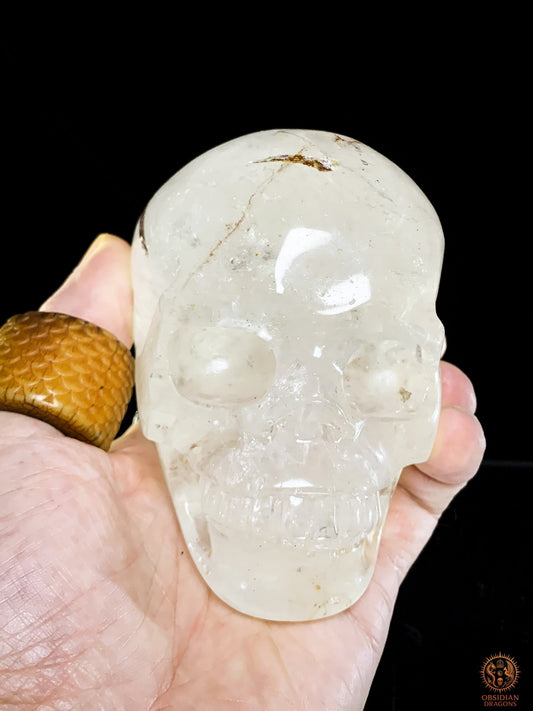 Crâne de Cristal en Cristal de Roche à inclusions de tourmaline | obsidian dragons