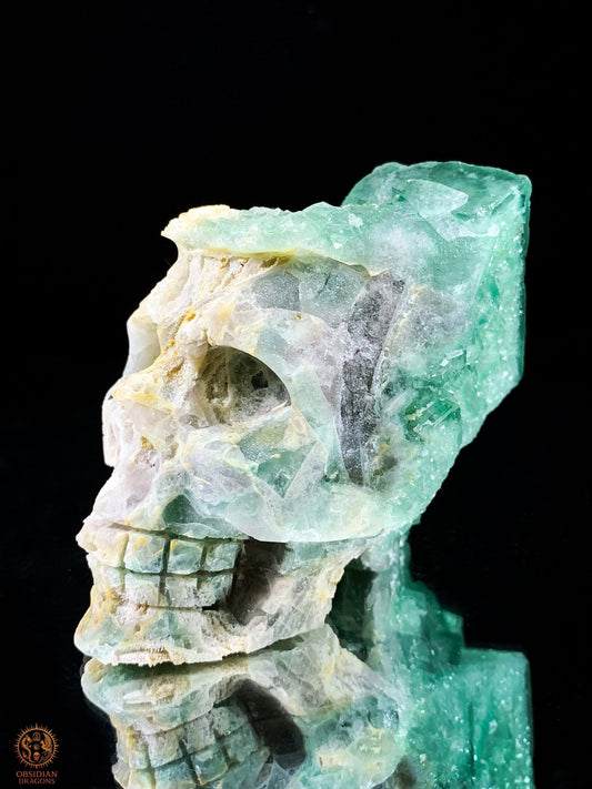 Crâne de Cristal en Fluorite Verte Brute – Clarté & Énergie | obsidian dragons