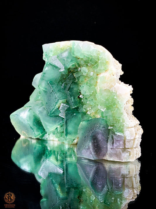 Crâne de Cristal en Fluorite Verte Brute – Crâne ailé | obsidian dragons