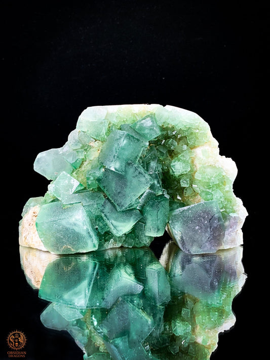 Crâne de Cristal en Fluorite Verte Brute – Crâne ailé | obsidian dragons