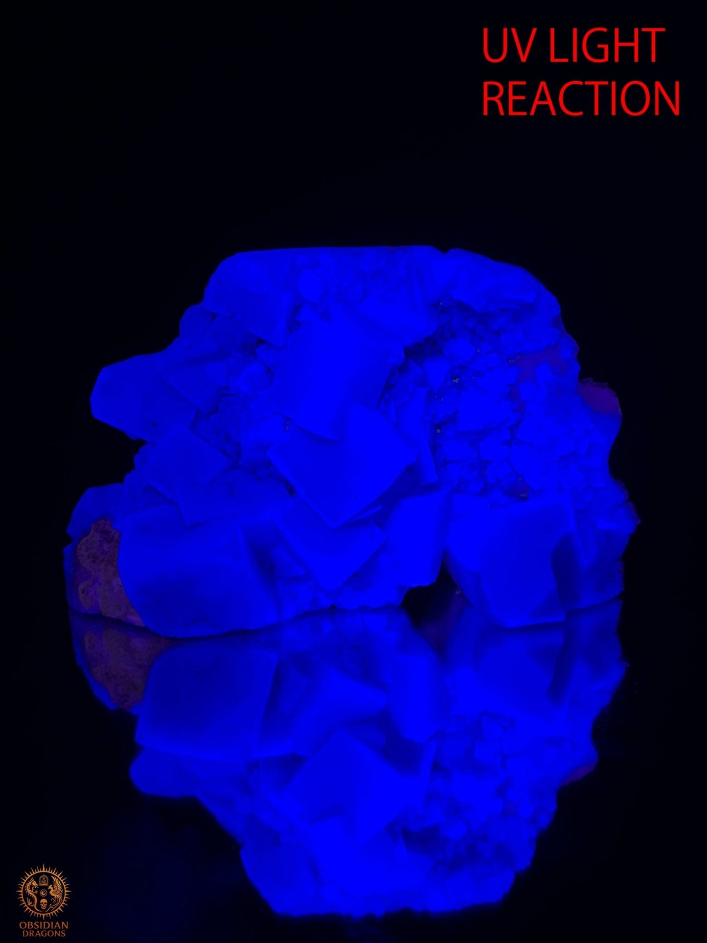 Crâne de Cristal en Fluorite Verte Brute – Crâne ailé | obsidian dragons