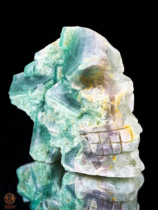 Crâne de Cristal en Fluorite Verte Brute – Crâne de cristal ailé | obsidian dragons