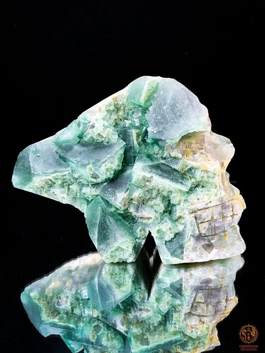 Crâne de Cristal en Fluorite Verte Brute – Crâne de cristal ailé | obsidian dragons