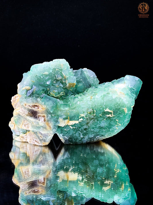 Crâne de Cristal en Fluorite Verte Brute – Esprit Ancien | obsidian dragons