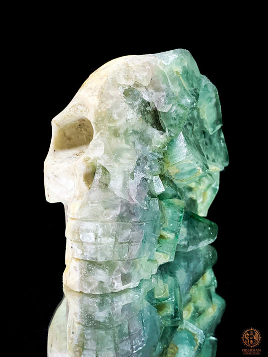 Crâne de Cristal en Fluorite Verte Brute – Harmonie & Clarté | obsidian dragons