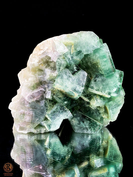 Crâne de Cristal en Fluorite Verte Brute – Harmonie & Clarté | obsidian dragons