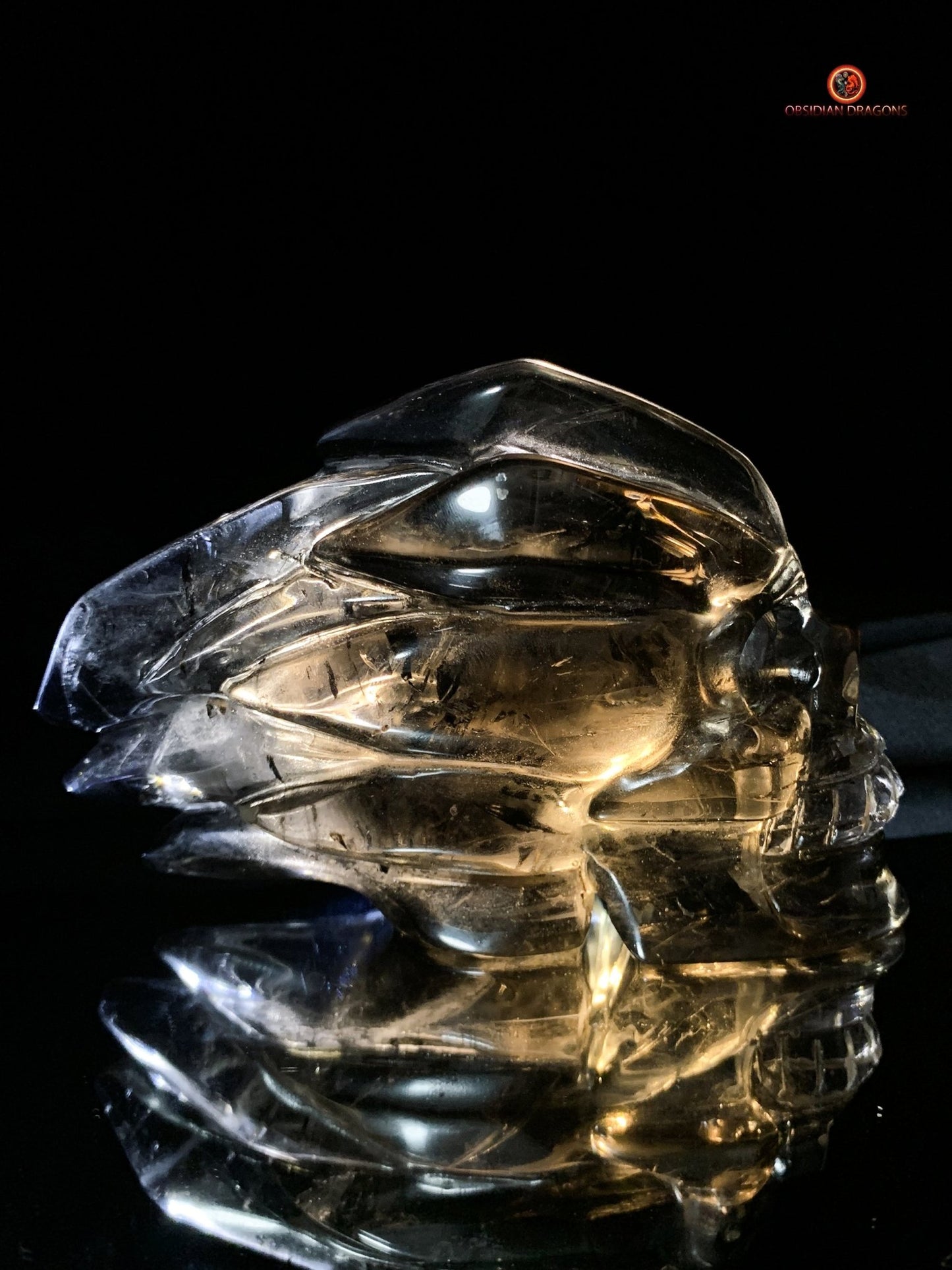 Crâne de Cristal en Quartz Fumé - Chef-d'œuvre Unique Sculpté | obsidian dragons