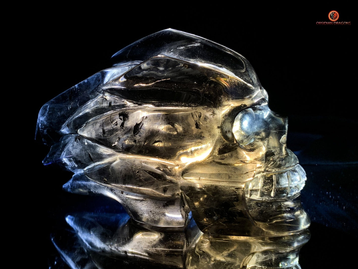 Crâne de Cristal en Quartz Fumé - Chef-d'œuvre Unique Sculpté | obsidian dragons