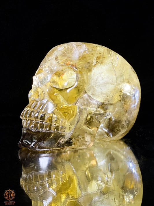 Crâne de Cristal en Quartz Fumé – Reflets Arc-en-Ciel - rare | obsidian dragons