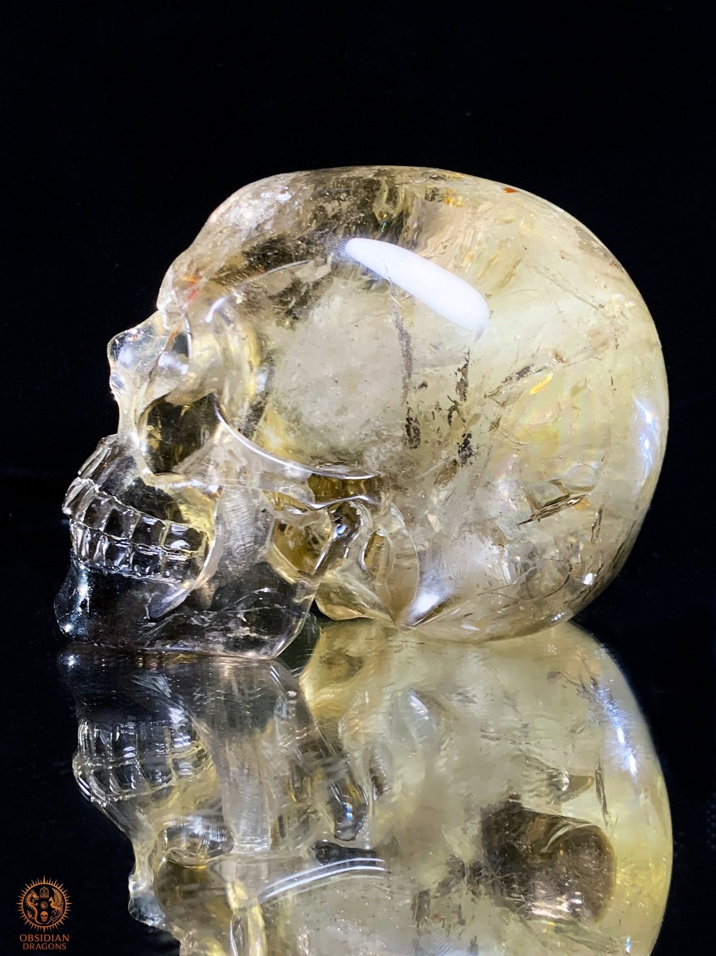 Crâne de Cristal en Quartz Fumé – Reflets Arc-en-Ciel - rare | obsidian dragons