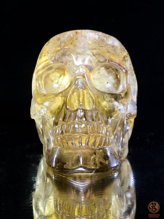 Crâne de Cristal en Quartz Fumé – Reflets Arc-en-Ciel - rare | obsidian dragons