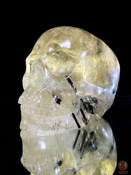 Crâne de Cristal en Quartz Fumé à Tourmaline Noire - Rare | obsidian dragons