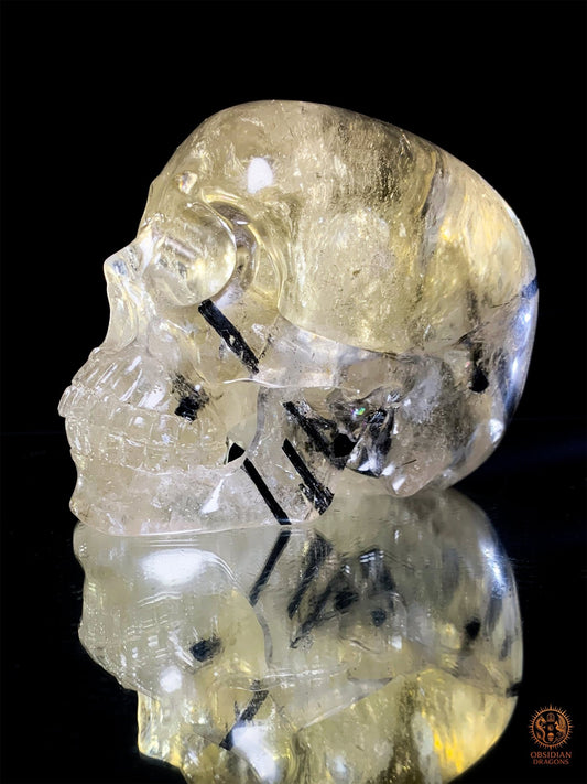 Crâne de Cristal en Quartz Fumé à Tourmaline Noire - Rare | obsidian dragons