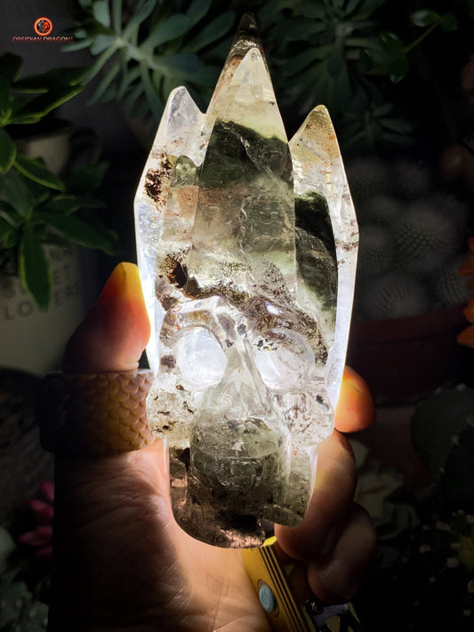 Crâne de Cristal en Quartz Jardin (Lodolite) – Voyage Chamanique | obsidian dragons