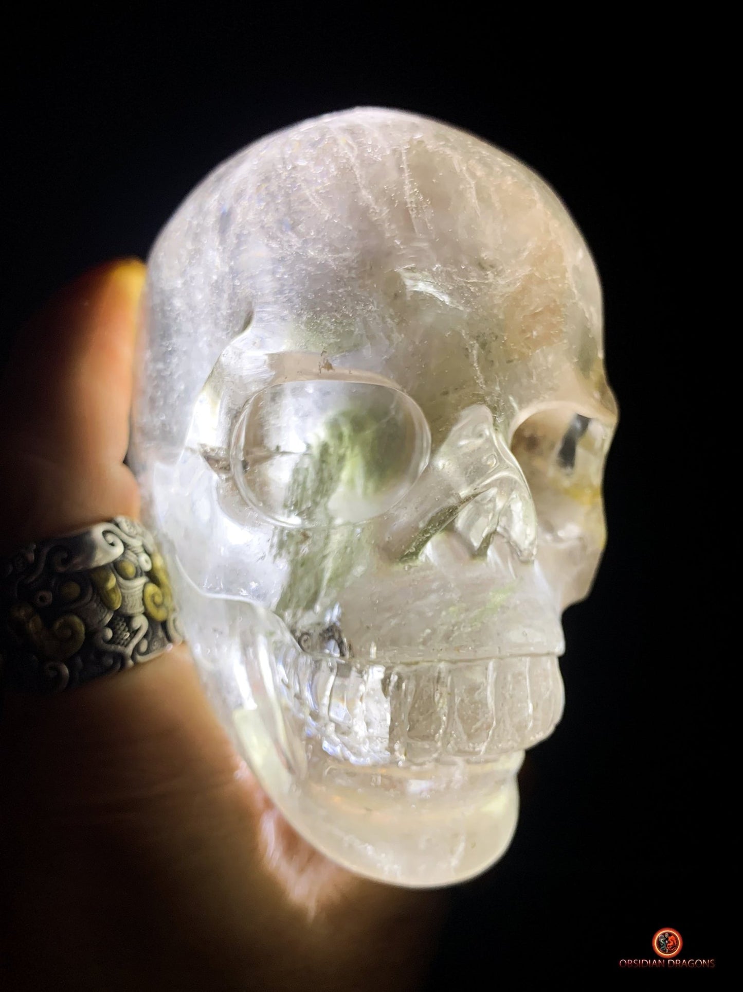 Crâne de Cristal en Quartz Lodolite - Qualité Supérieure | obsidian dragons