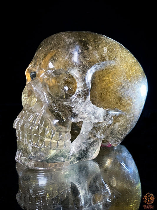 Crâne de Cristal en Quartz Rutile - Quartz fumé - Rarissime | obsidian dragons