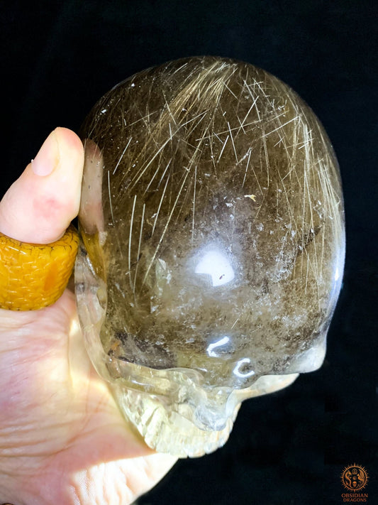Crâne de Cristal en Quartz Rutile - Quartz fumé - Rarissime | obsidian dragons