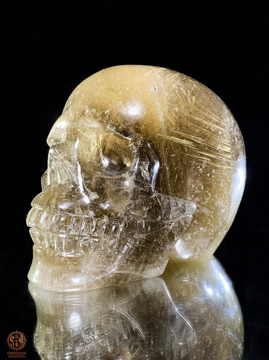 Crâne de Cristal en Quartz Rutile – Sculpture Rare de collection | obsidian dragons