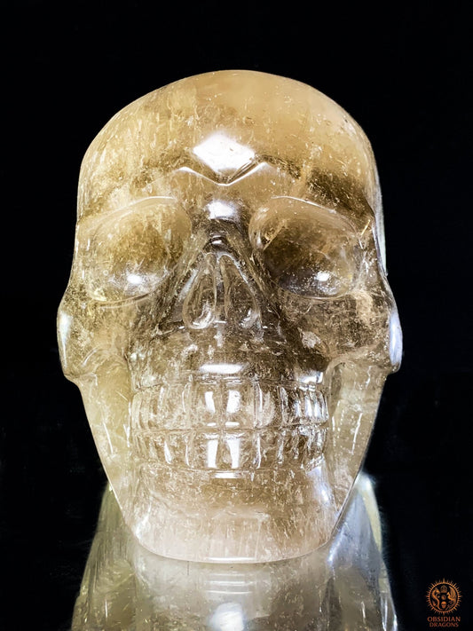 Crâne de Cristal en Quartz Rutile – Sculpture Rare de collection | obsidian dragons