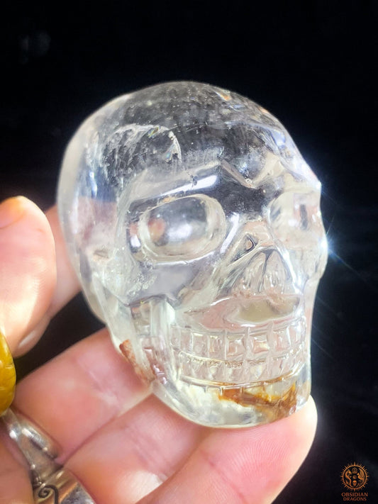 Crâne de Cristal en cristal de roche - sang de la terre | obsidian dragons