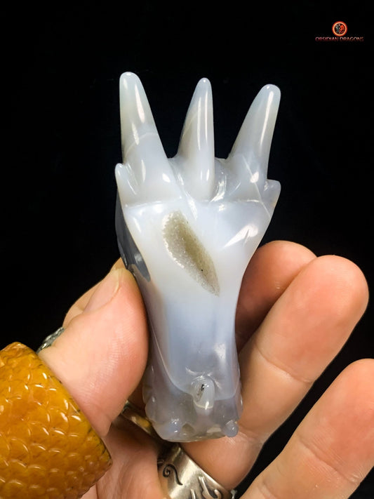 Crâne de Dragon dans géode de quartz – Lumière et Guérison | obsidian dragons