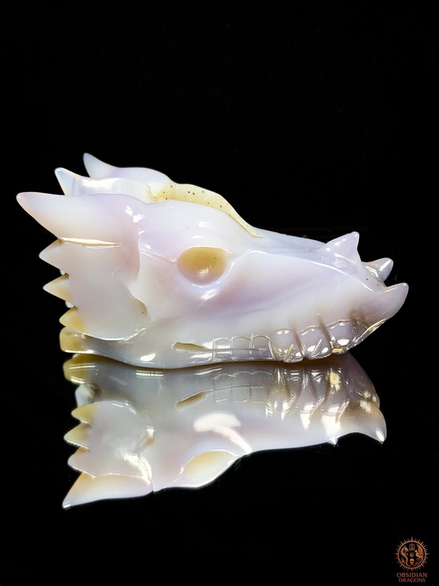 Crâne de Dragon en Agate – Géode de Quartz – Gardien des Brumes | obsidian dragons