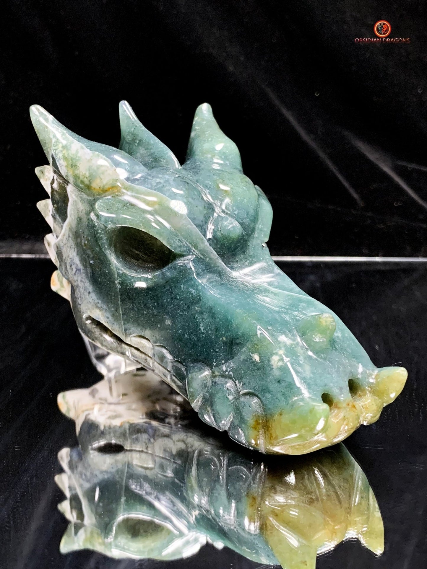 Crâne de Dragon en Agate Mousse - Puissance Spirituelle | obsidian dragons