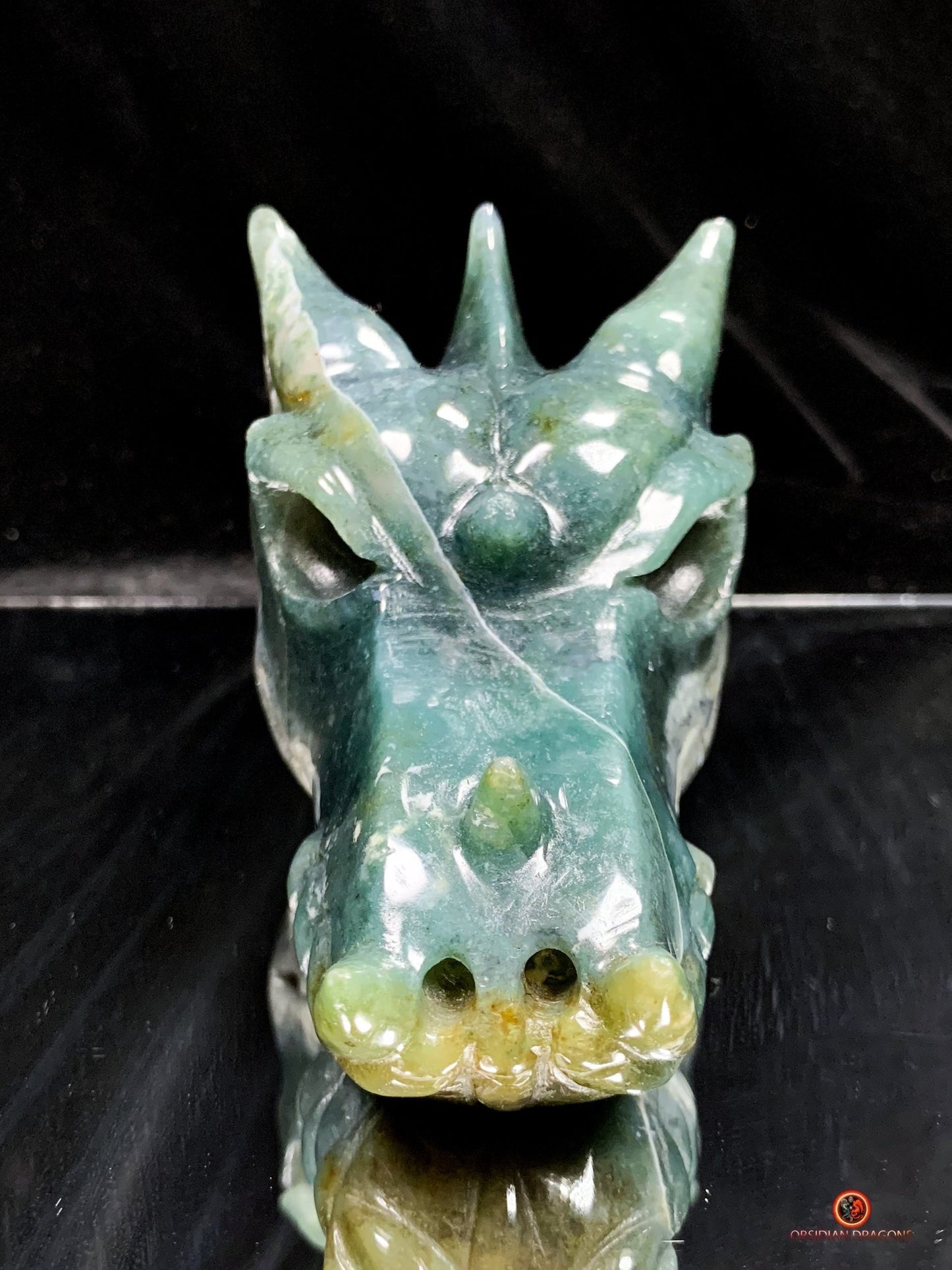Crâne de Dragon en Agate Mousse - Puissance Spirituelle | obsidian dragons