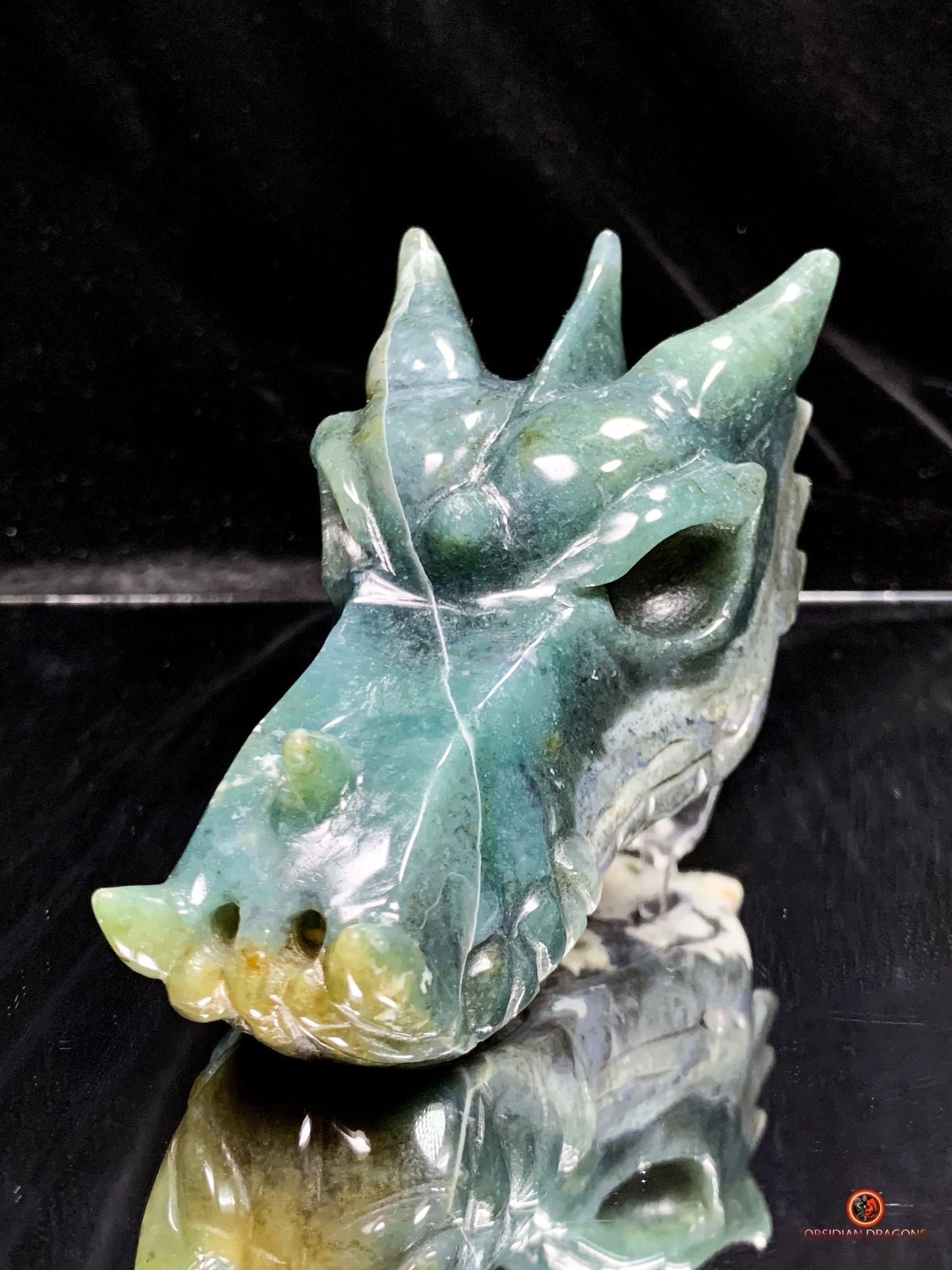 Crâne de Dragon en Agate Mousse - Puissance Spirituelle | obsidian dragons