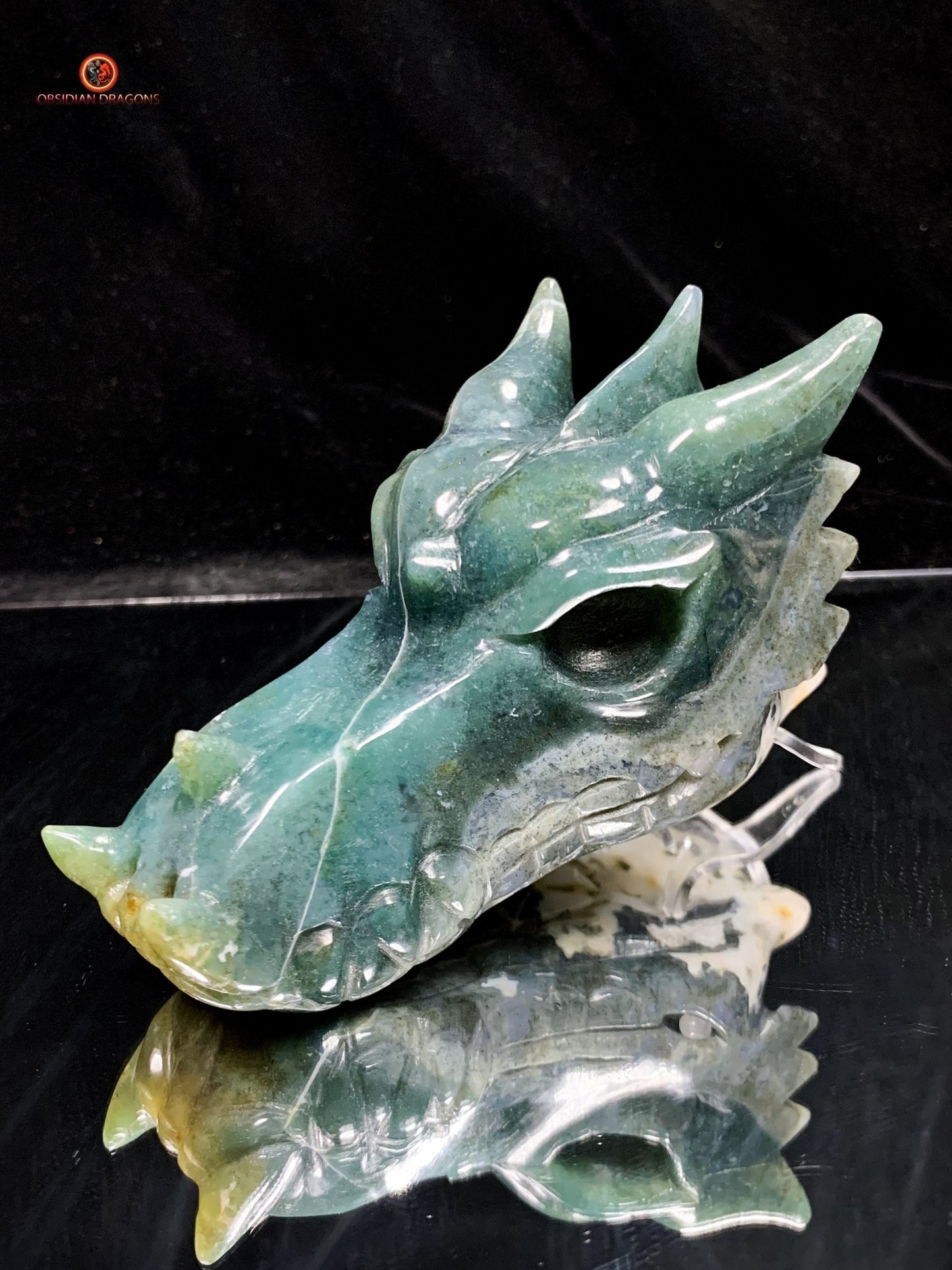 Crâne de Dragon en Agate Mousse - Puissance Spirituelle | obsidian dragons