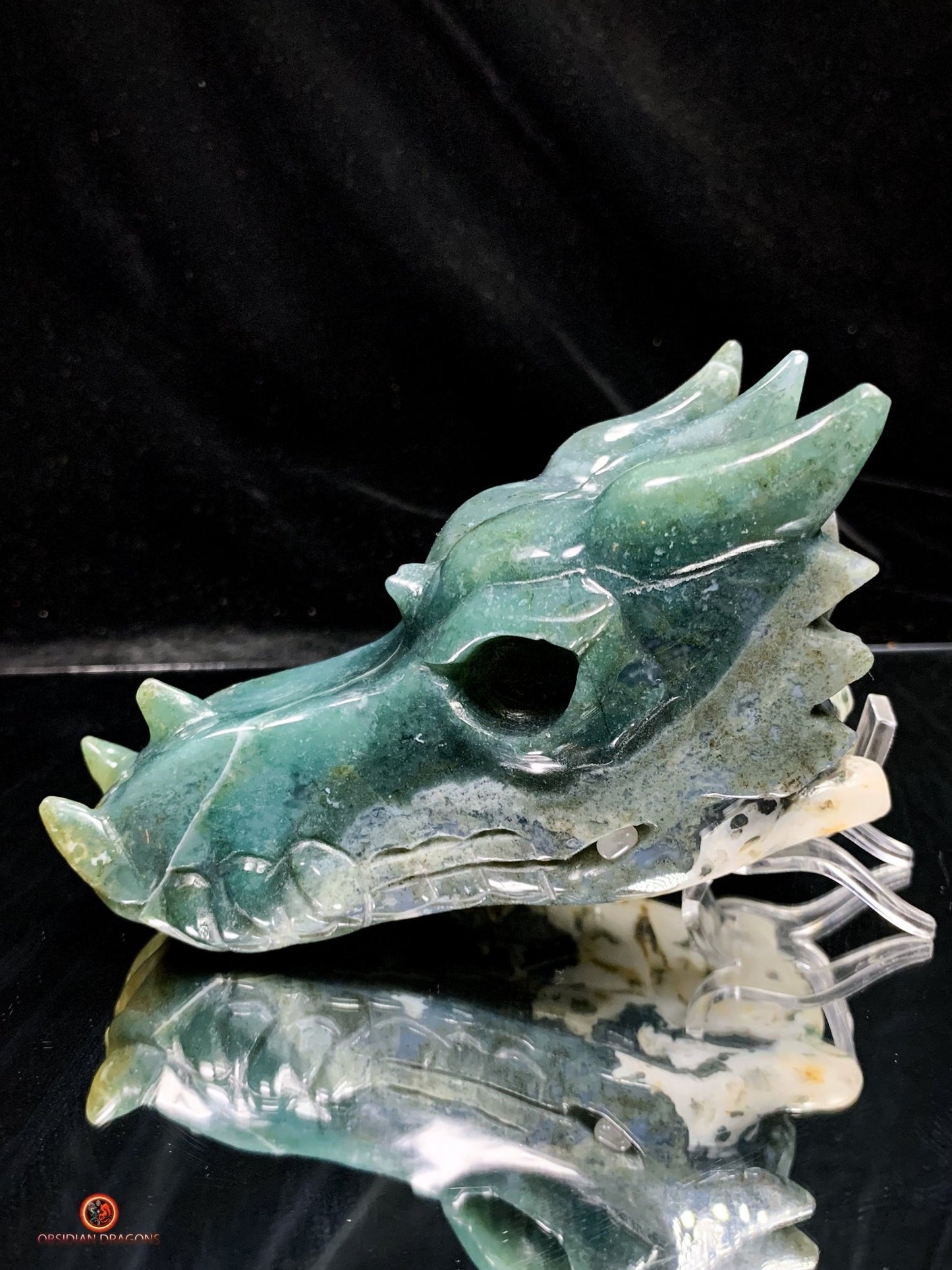 Crâne de Dragon en Agate Mousse - Puissance Spirituelle | obsidian dragons