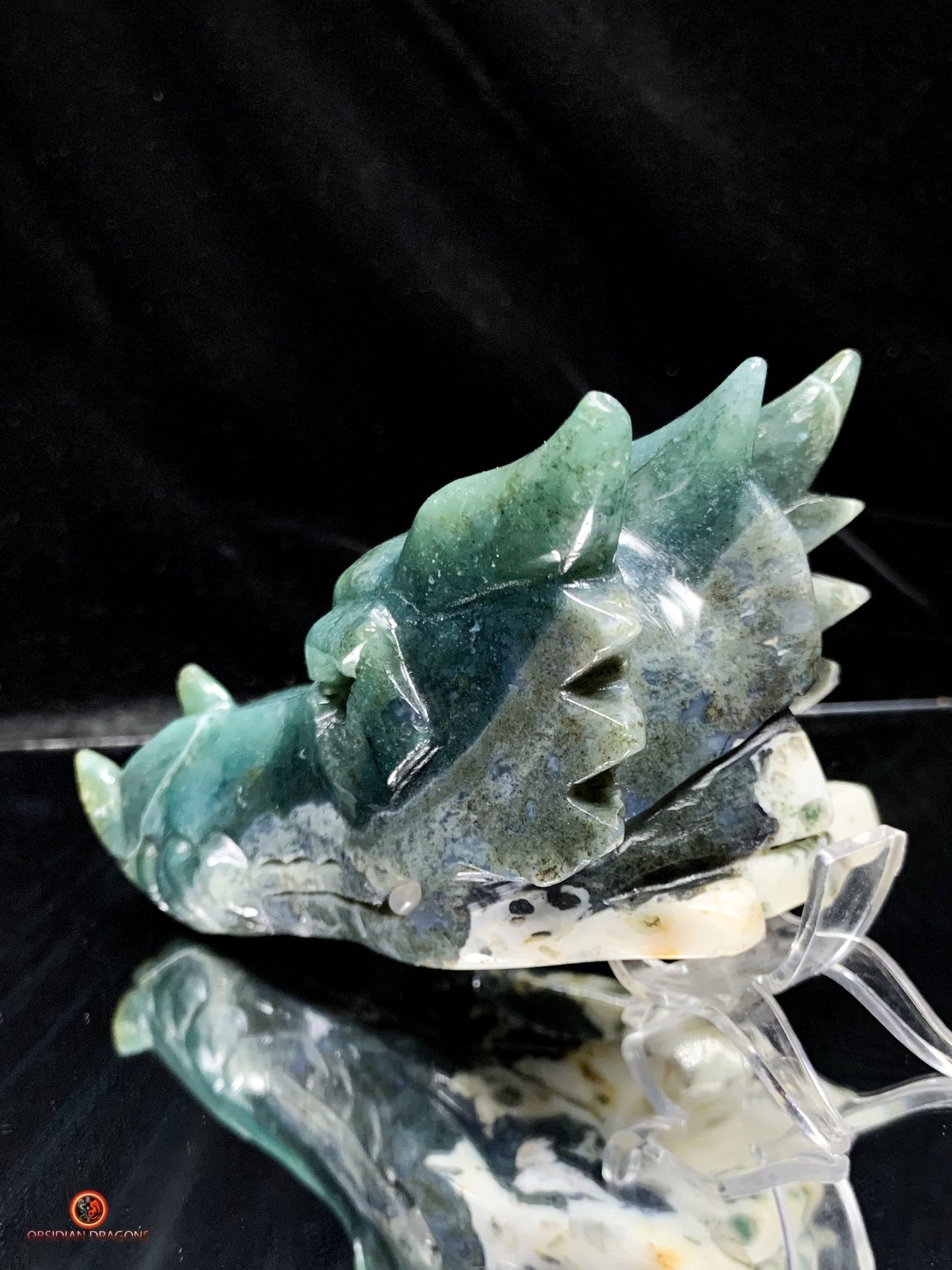 Crâne de Dragon en Agate Mousse - Puissance Spirituelle | obsidian dragons