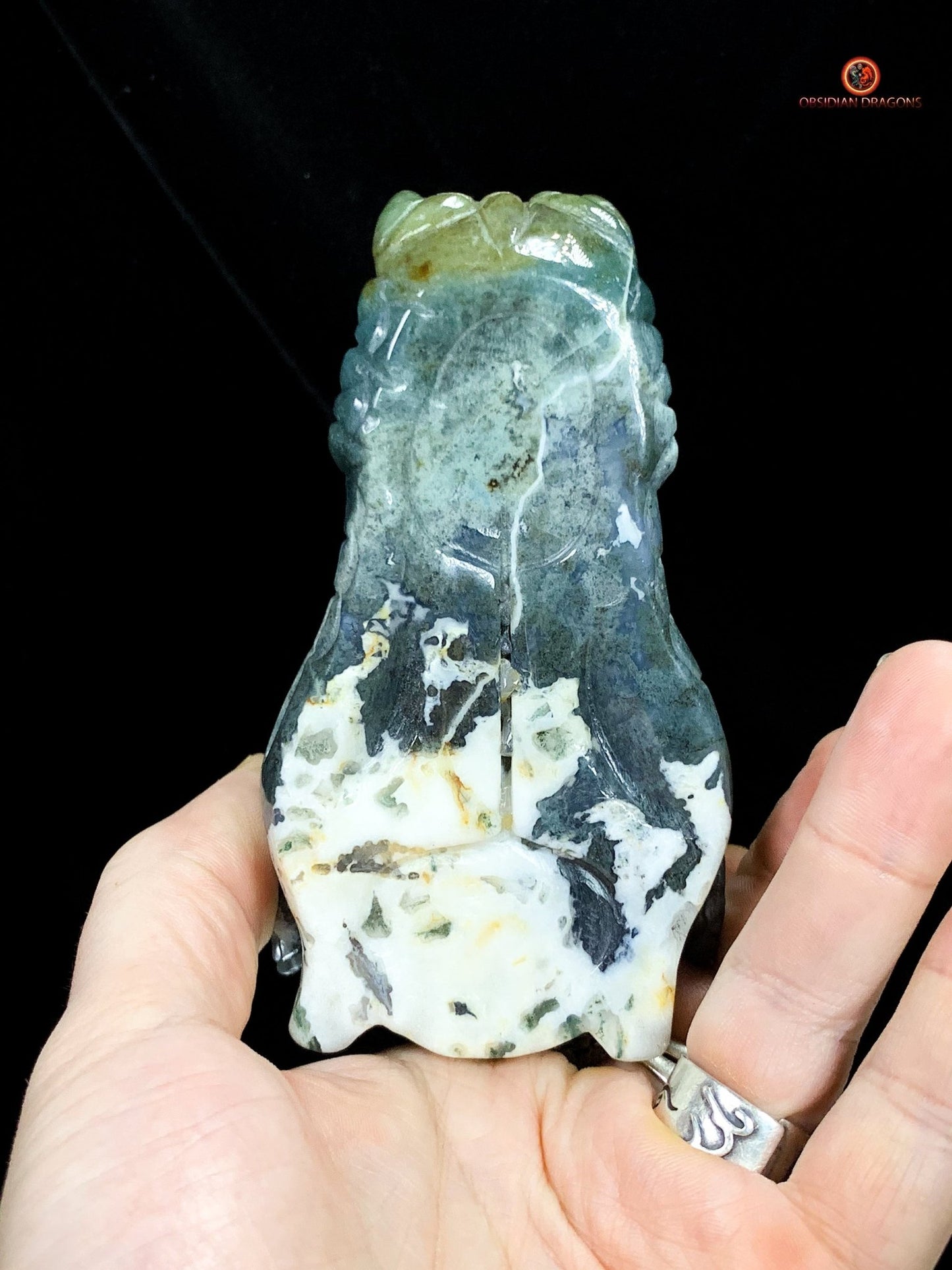 Crâne de Dragon en Agate Mousse - Puissance Spirituelle | obsidian dragons