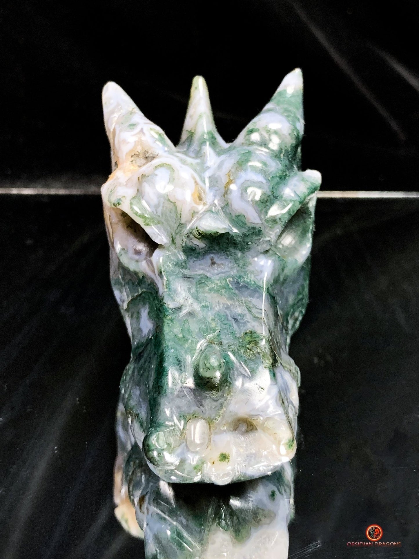 Crâne de Dragon en Agate Mousse - Puissance et Harmonie | obsidian dragons