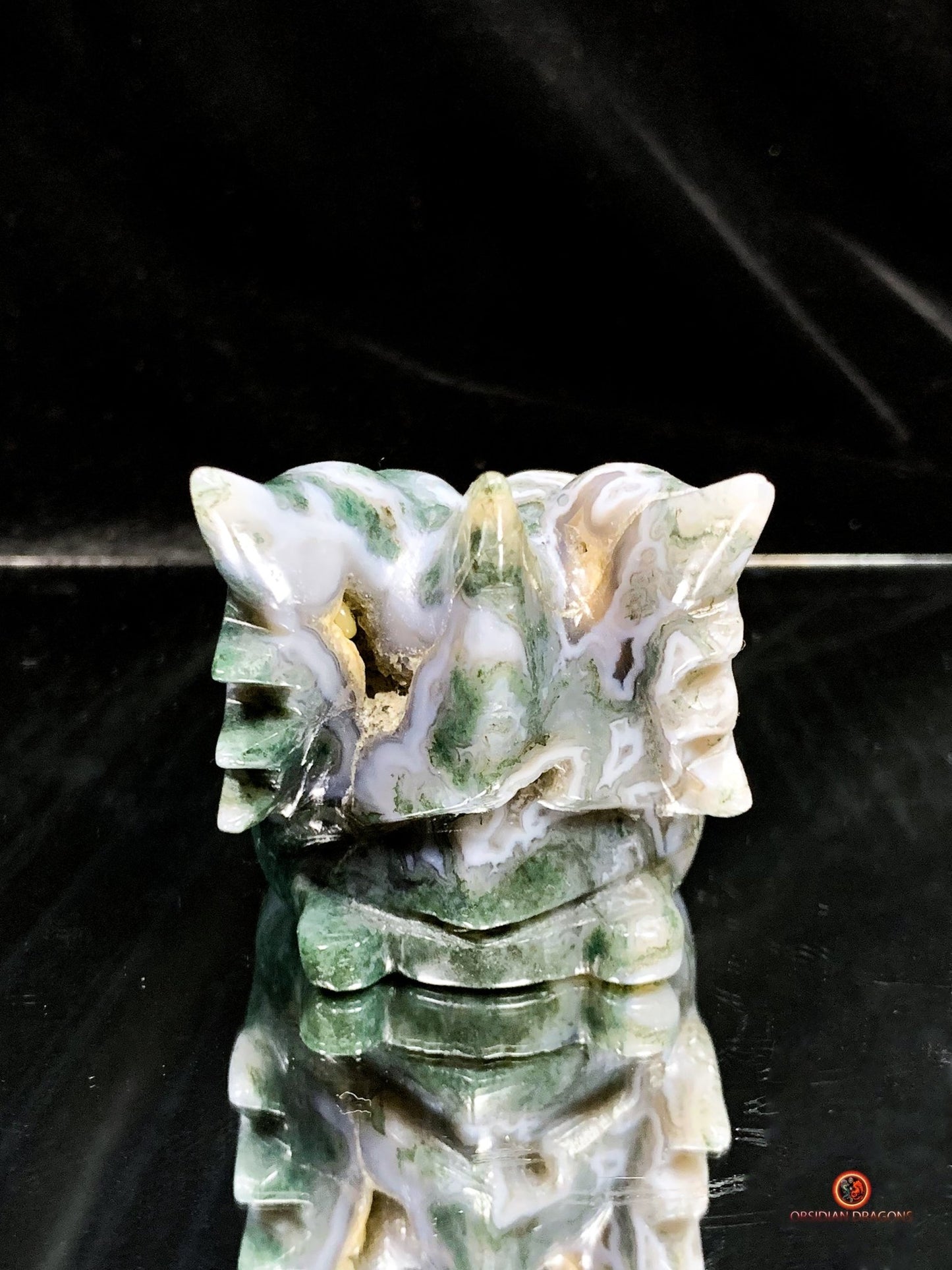 Crâne de Dragon en Agate Mousse - Puissance et Harmonie | obsidian dragons
