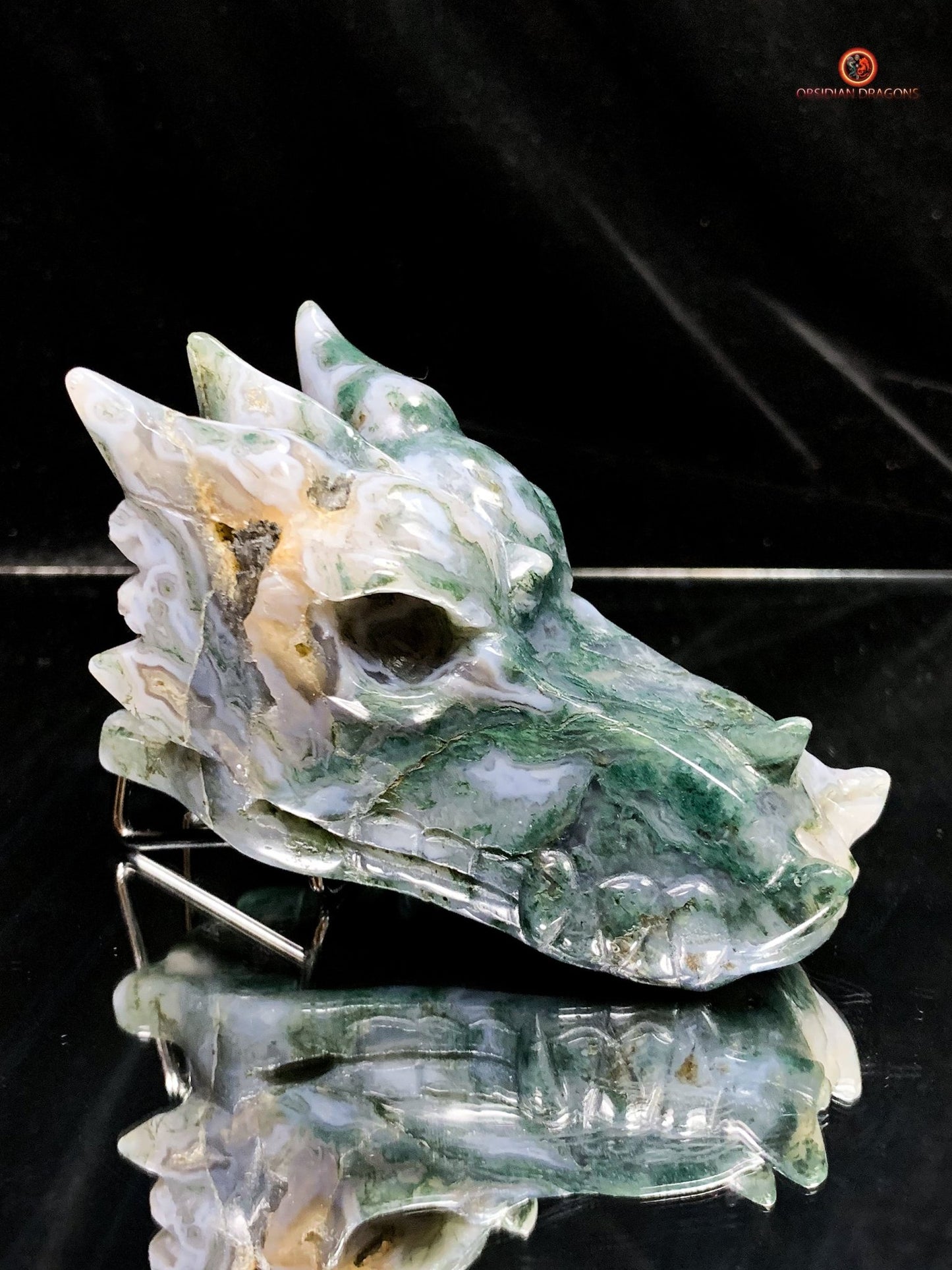 Crâne de Dragon en Agate Mousse - Puissance et Harmonie | obsidian dragons