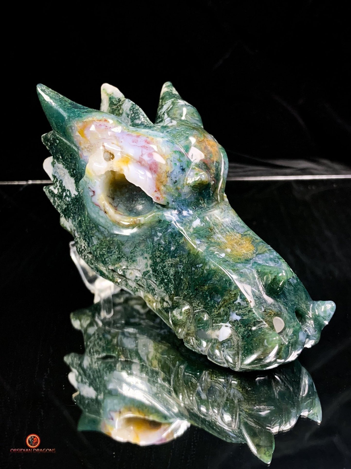 Crâne de Dragon en Agate Mousse - Puissance et Transformation | obsidian dragons