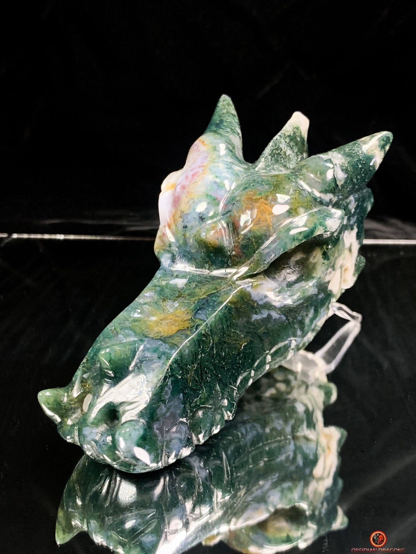 Crâne de Dragon en Agate Mousse - Puissance et Transformation | obsidian dragons