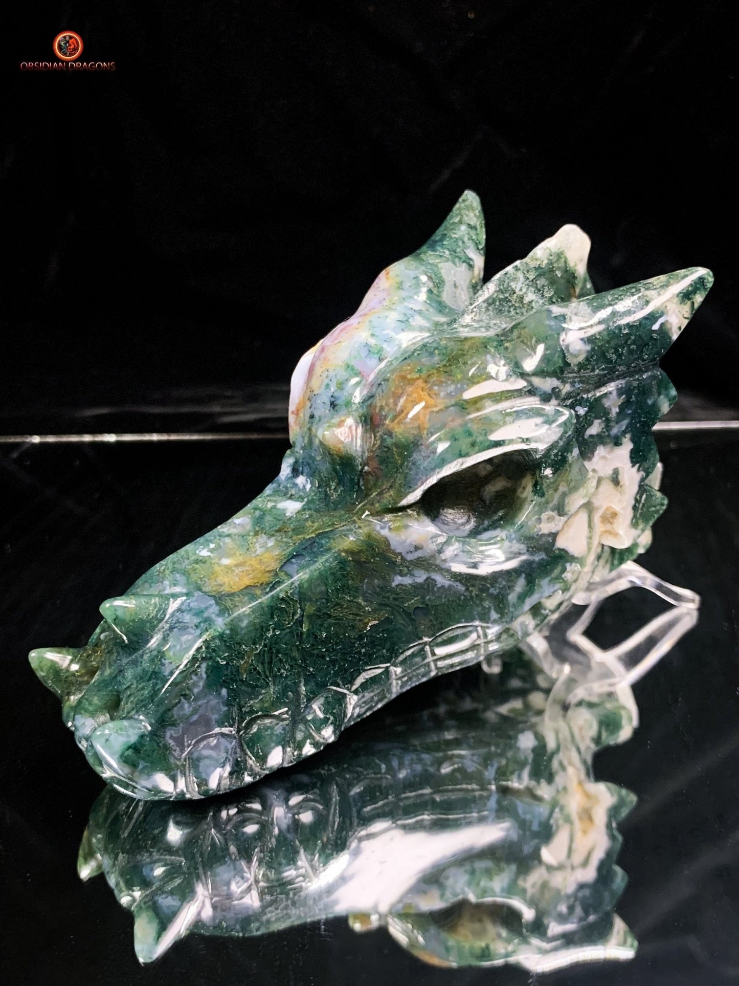 Crâne de Dragon en Agate Mousse - Puissance et Transformation | obsidian dragons