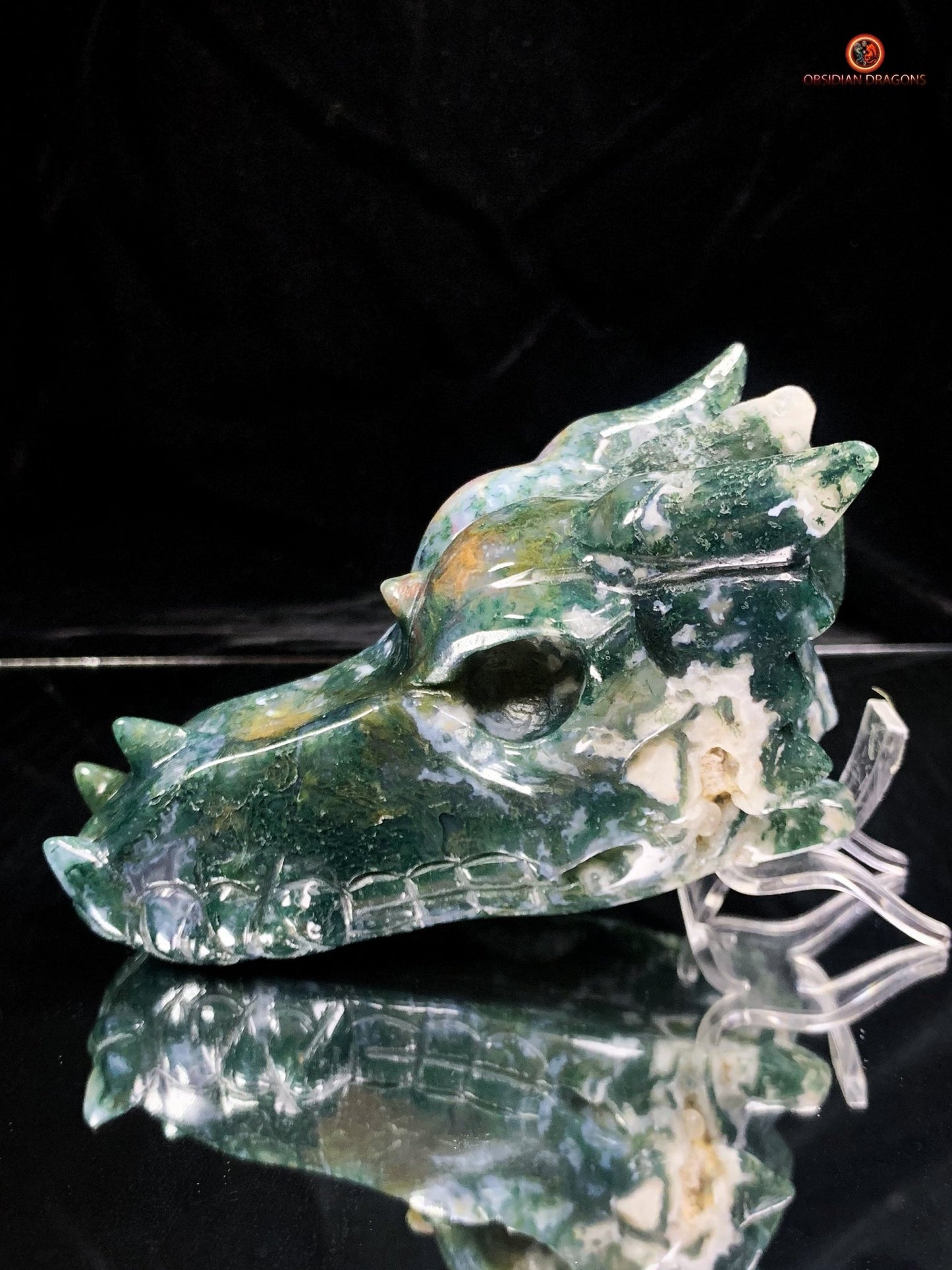 Crâne de Dragon en Agate Mousse - Puissance et Transformation | obsidian dragons