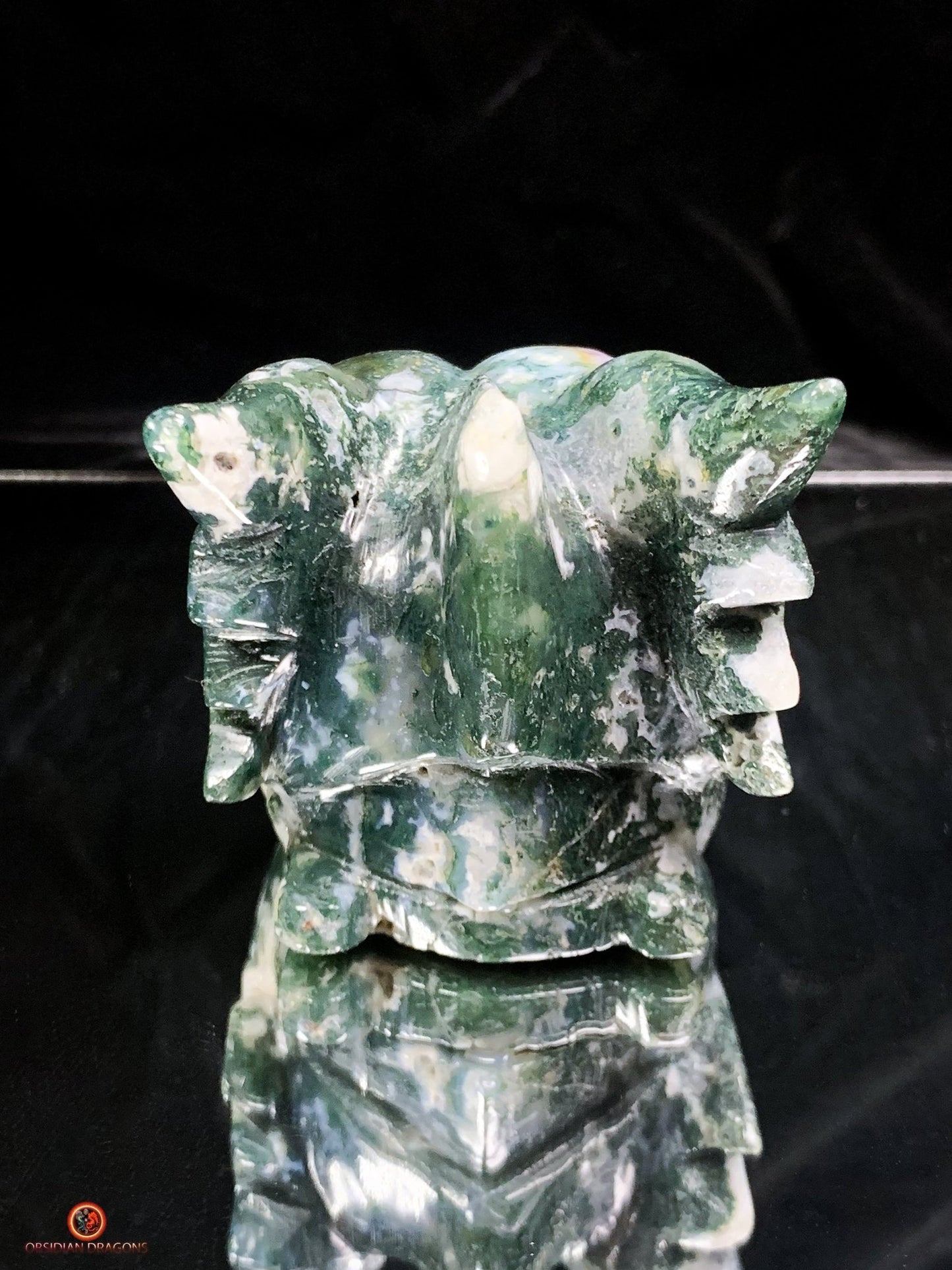 Crâne de Dragon en Agate Mousse - Puissance et Transformation | obsidian dragons
