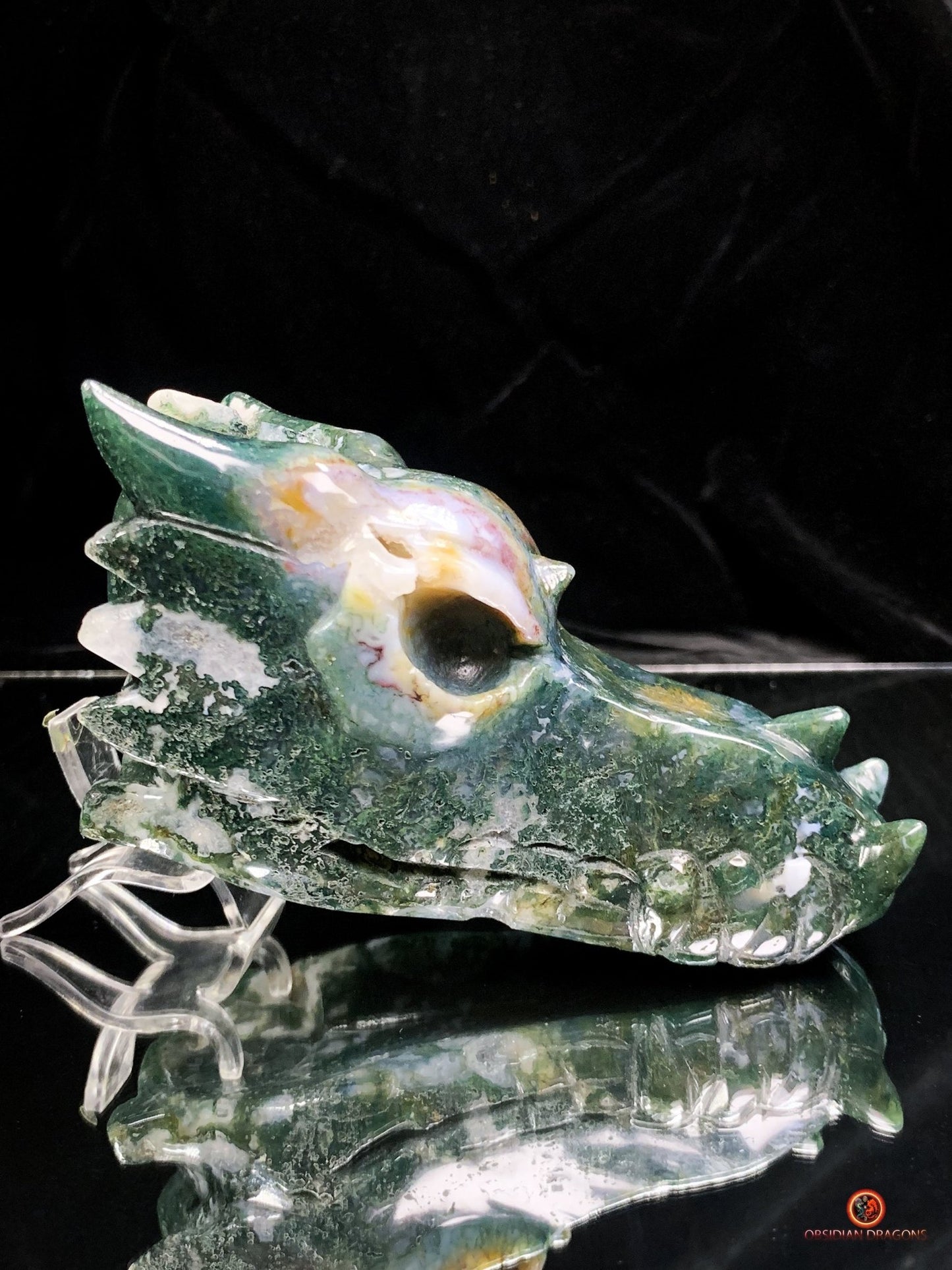 Crâne de Dragon en Agate Mousse - Puissance et Transformation | obsidian dragons