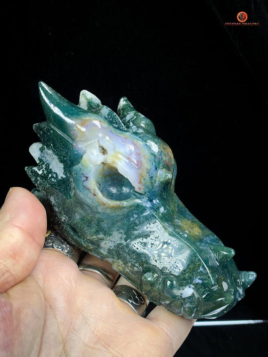 Crâne de Dragon en Agate Mousse - Puissance et Transformation | obsidian dragons