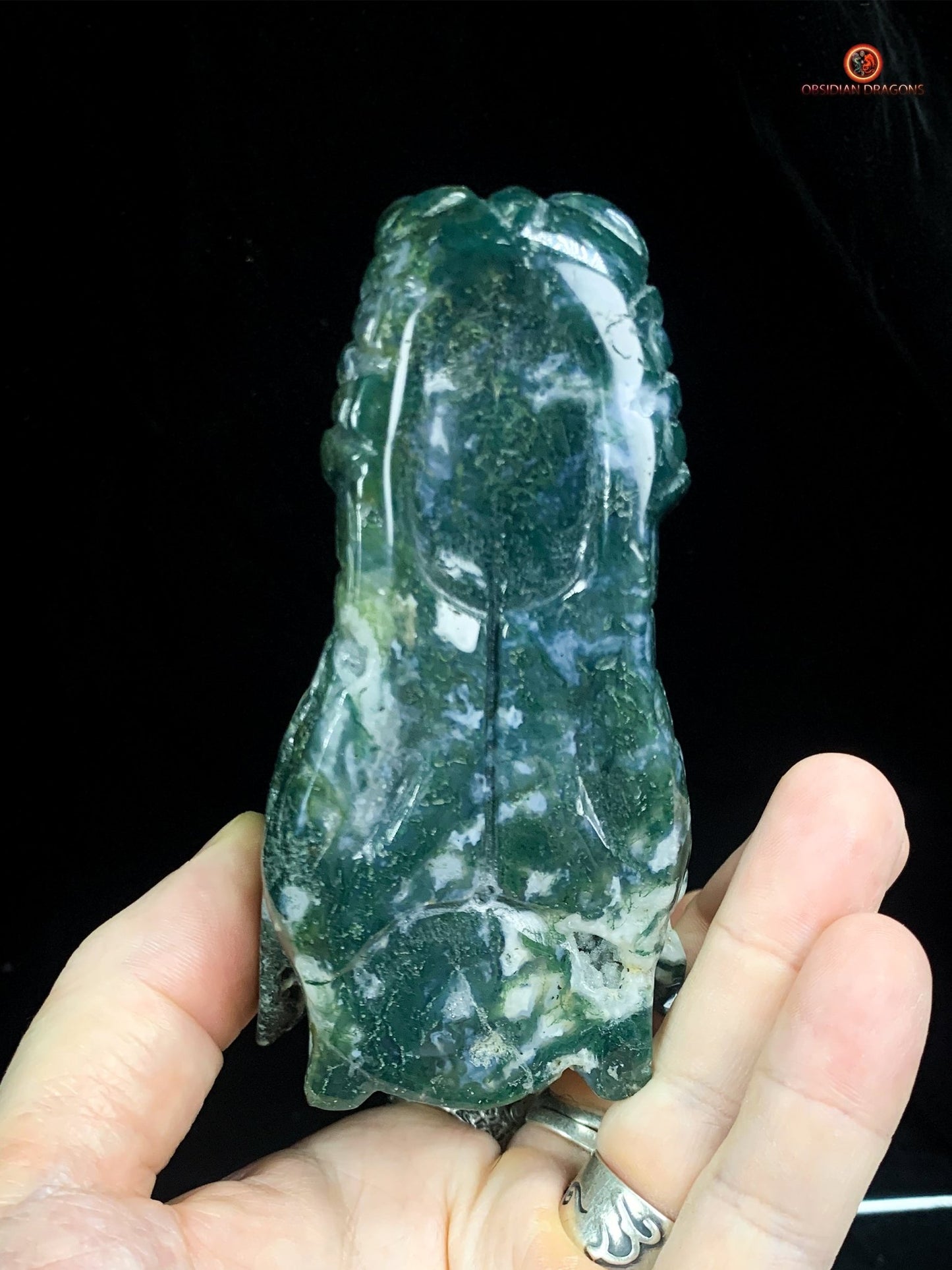 Crâne de Dragon en Agate Mousse - Puissance et Transformation - obsidian dragons